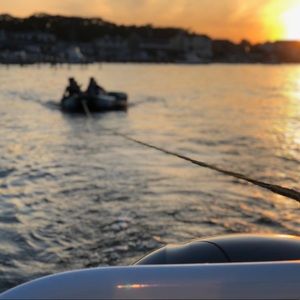 Meet your Posher, Ellie